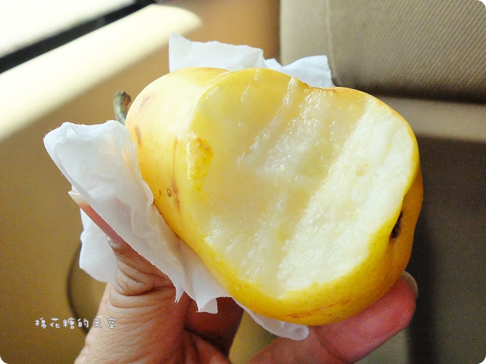 摩洛哥旅遊‖超市、雜貨店必買在地零食、點心，超級便宜每天都要吃