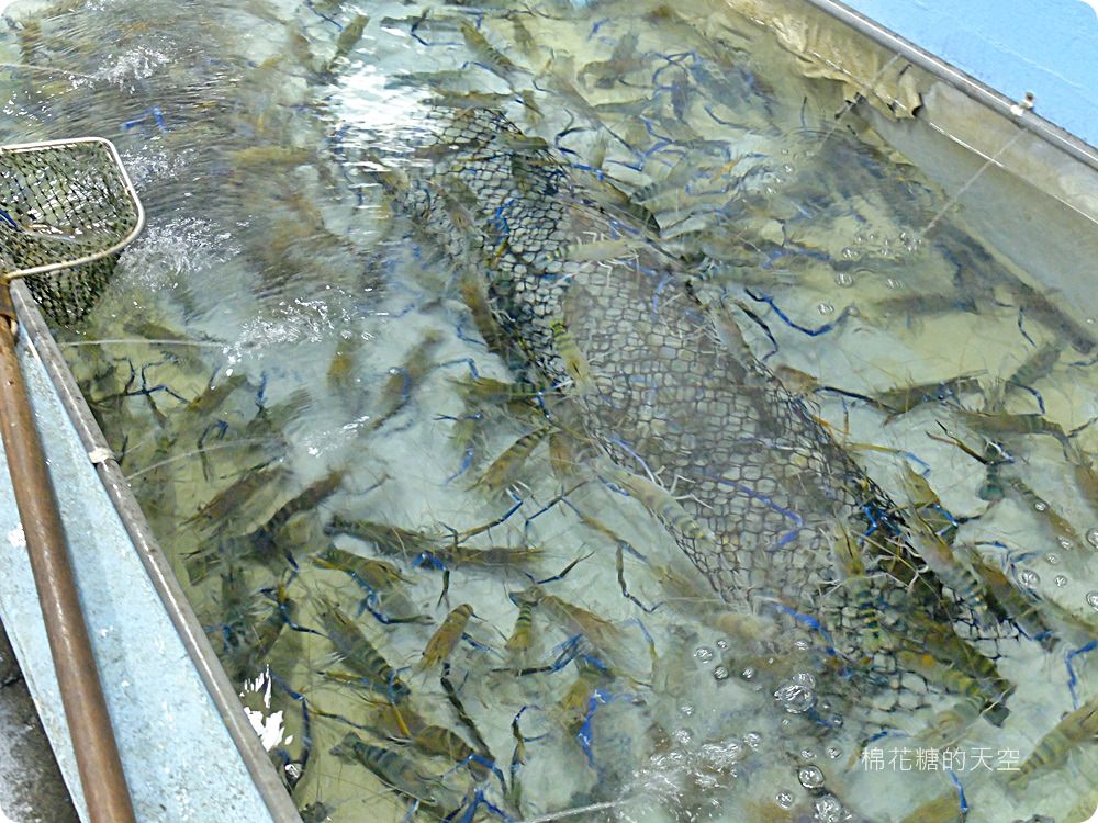 活跳跳鮮蝦直上桌，吉品釣蝦美食廣場好吃又好玩，下班釣蝦超舒壓