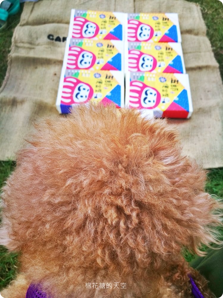 一天只賣一餐的可愛文青日式餐盒-五郎便當屋，帶著超可愛飯包彩虹眷村野餐去