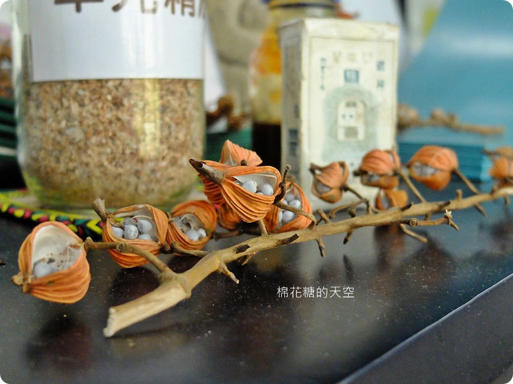 來去嘉義“鬆”一下，熱門景點拍夠夠，2018嘉義精油月-悠遊SPA放鬆趣旅遊套票大超值