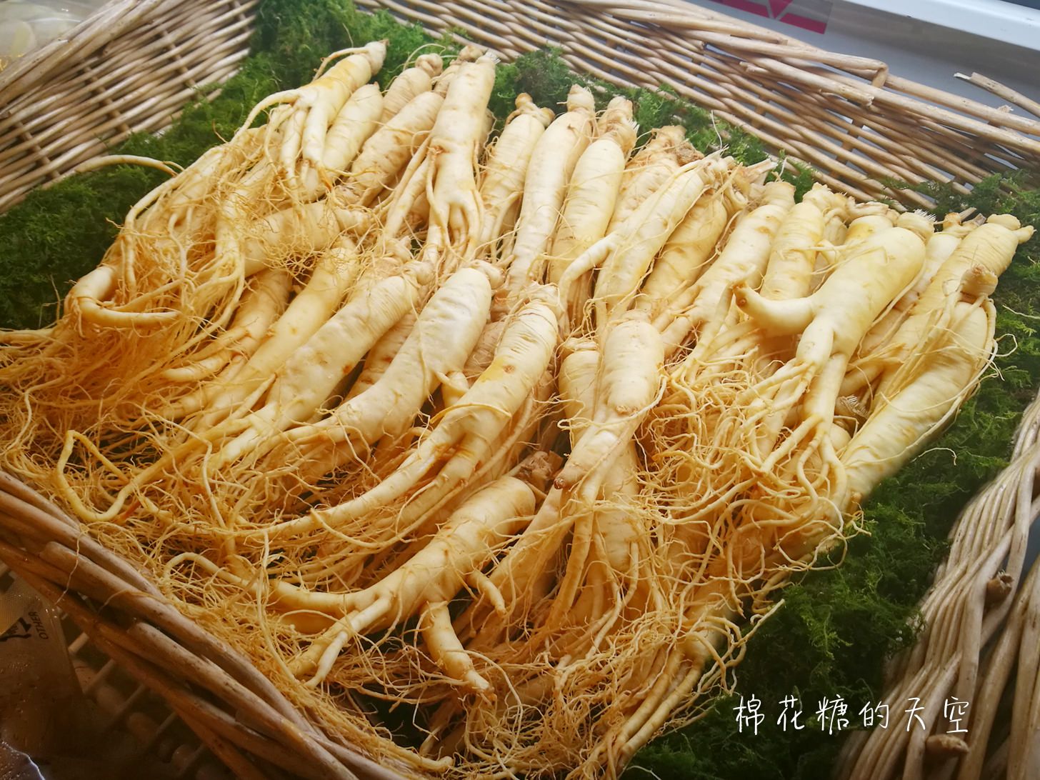 台中新光三越韓國商品展，韓服體驗消費滿額免費送！