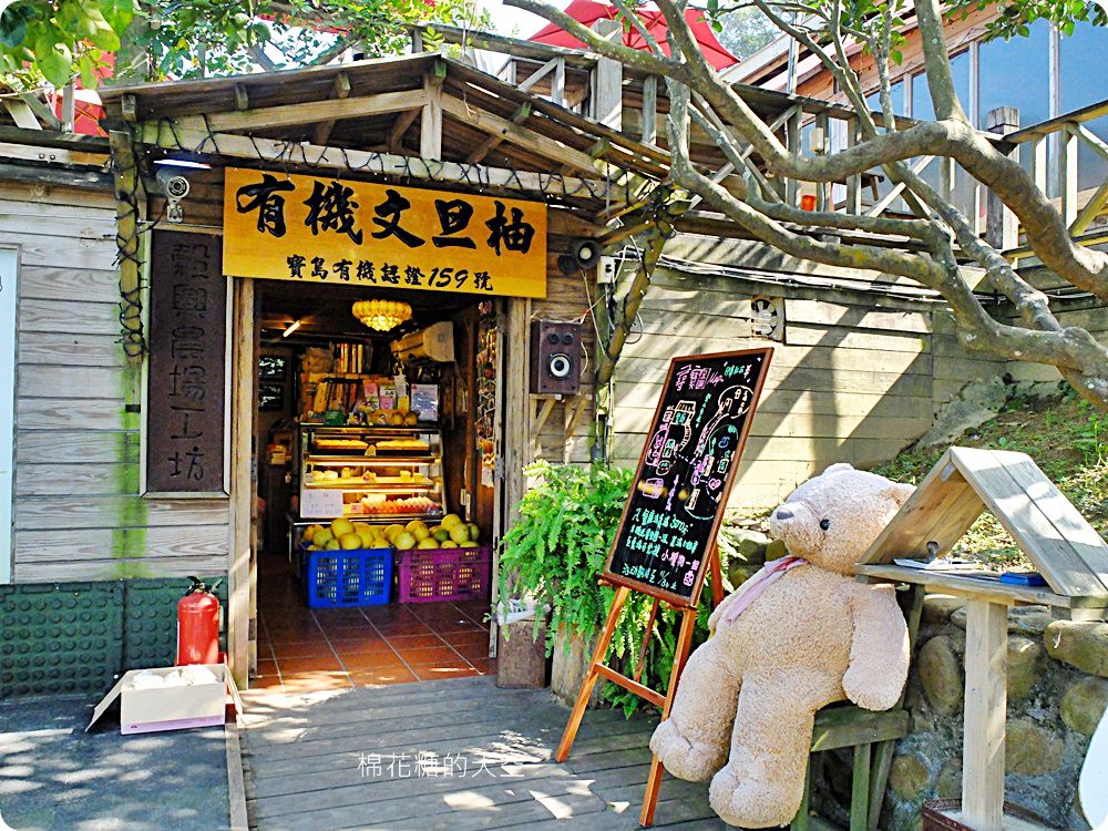 不只美景、好料理新北桃樂絲森林餐廳還有療癒人心可愛動物開趴踢，親子友善、寵物友善
