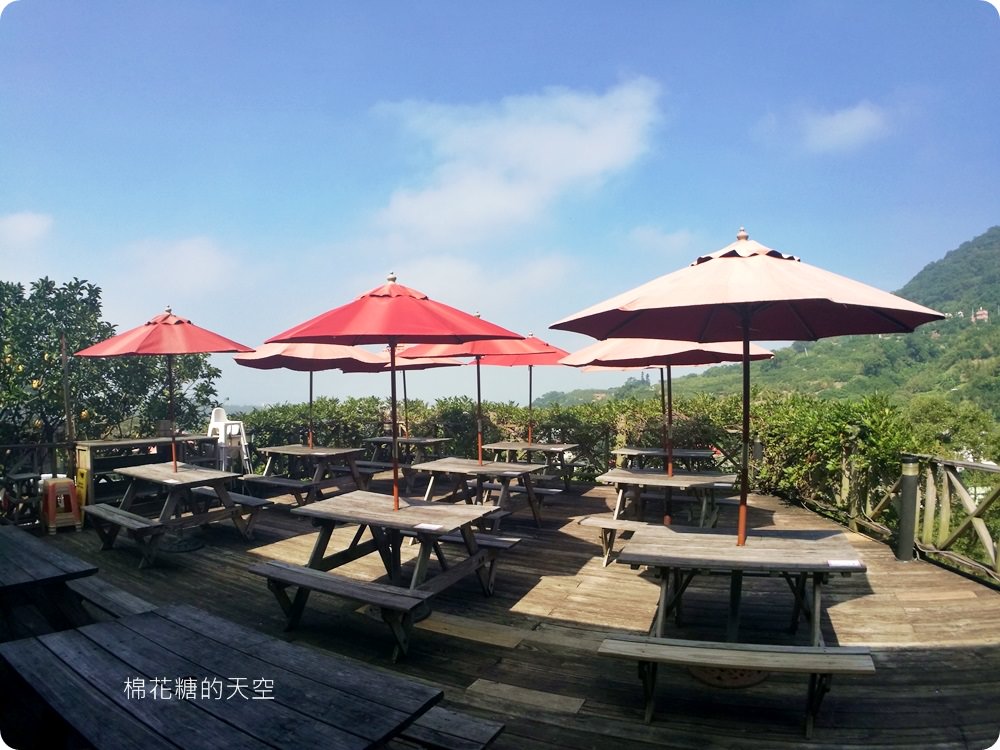不只美景、好料理新北桃樂絲森林餐廳還有療癒人心可愛動物開趴踢，親子友善、寵物友善