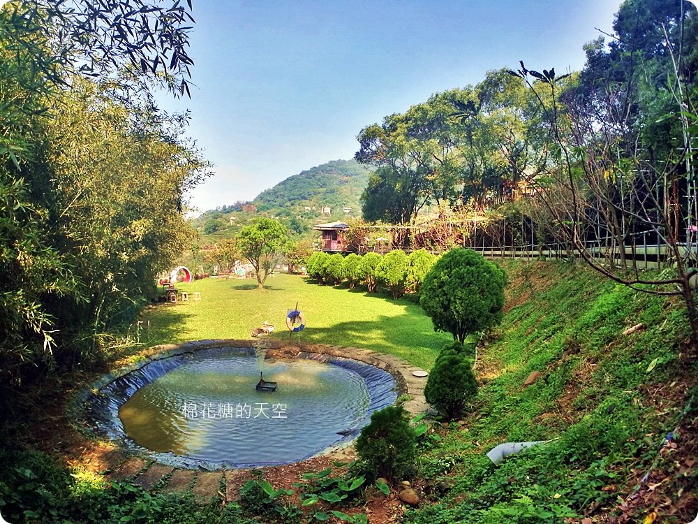 不只美景、好料理新北桃樂絲森林餐廳還有療癒人心可愛動物開趴踢，親子友善、寵物友善