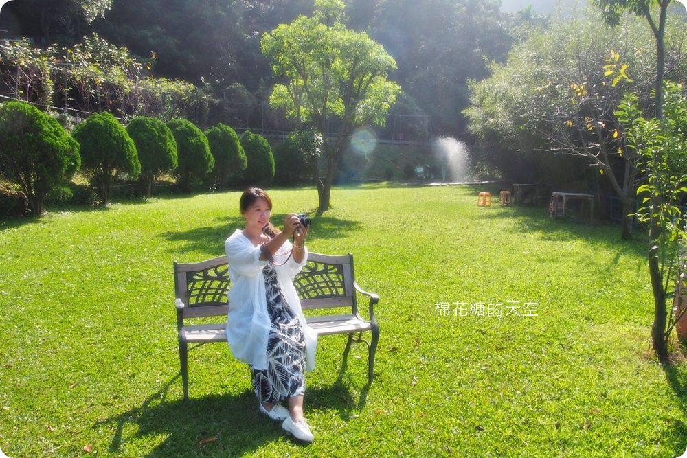 不只美景、好料理新北桃樂絲森林餐廳還有療癒人心可愛動物開趴踢，親子友善、寵物友善