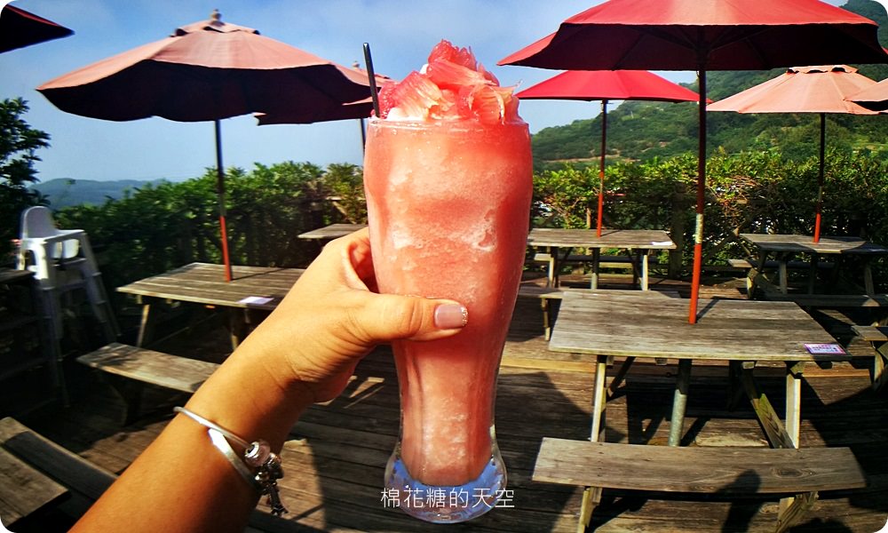 不只美景、好料理新北桃樂絲森林餐廳還有療癒人心可愛動物開趴踢，親子友善、寵物友善