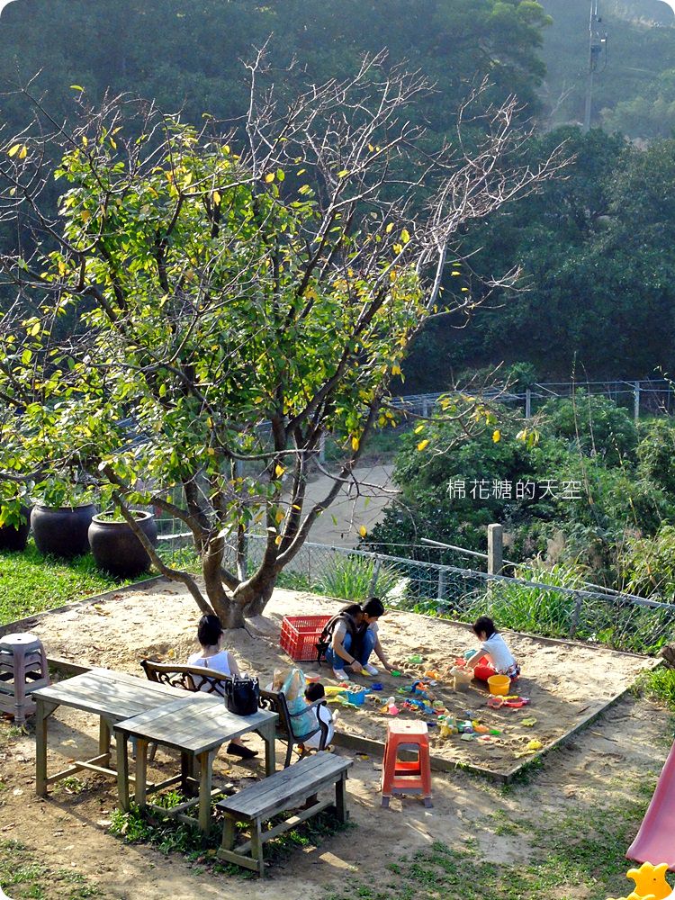 不只美景、好料理新北桃樂絲森林餐廳還有療癒人心可愛動物開趴踢，親子友善、寵物友善