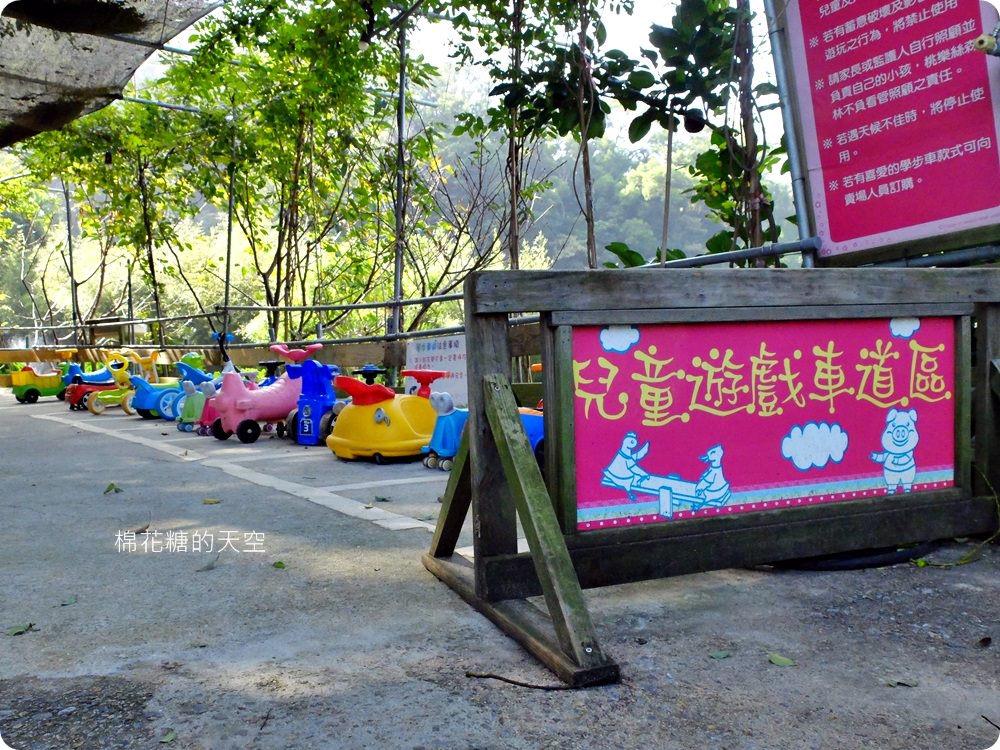 不只美景、好料理新北桃樂絲森林餐廳還有療癒人心可愛動物開趴踢，親子友善、寵物友善