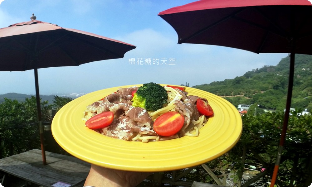 不只美景、好料理新北桃樂絲森林餐廳還有療癒人心可愛動物開趴踢，親子友善、寵物友善