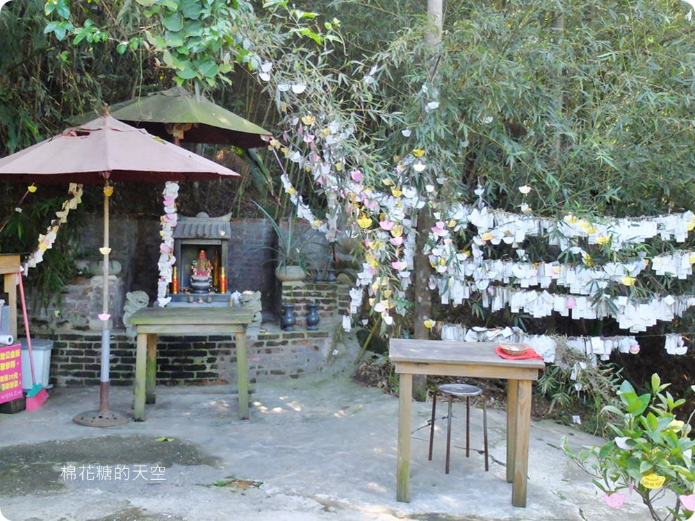 不只美景、好料理新北桃樂絲森林餐廳還有療癒人心可愛動物開趴踢，親子友善、寵物友善
