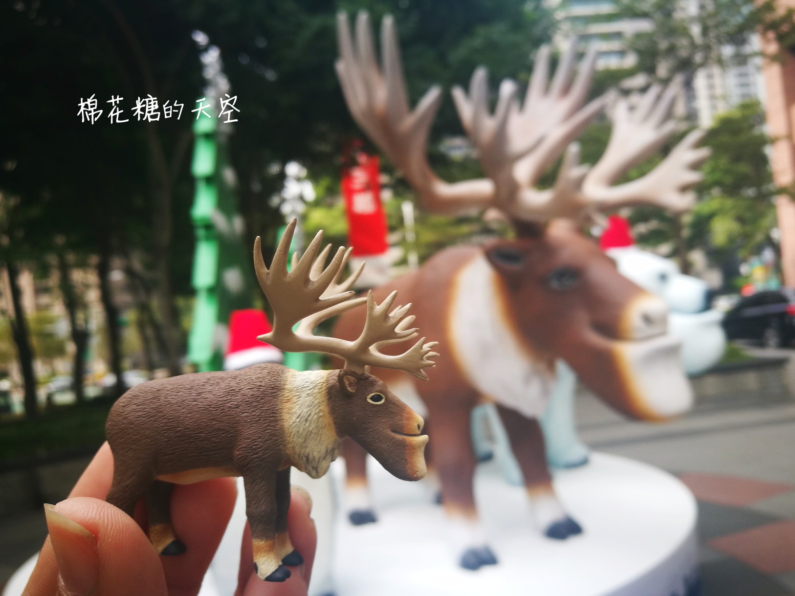 戽斗星球放大版來台中了！扭蛋控們快衝！