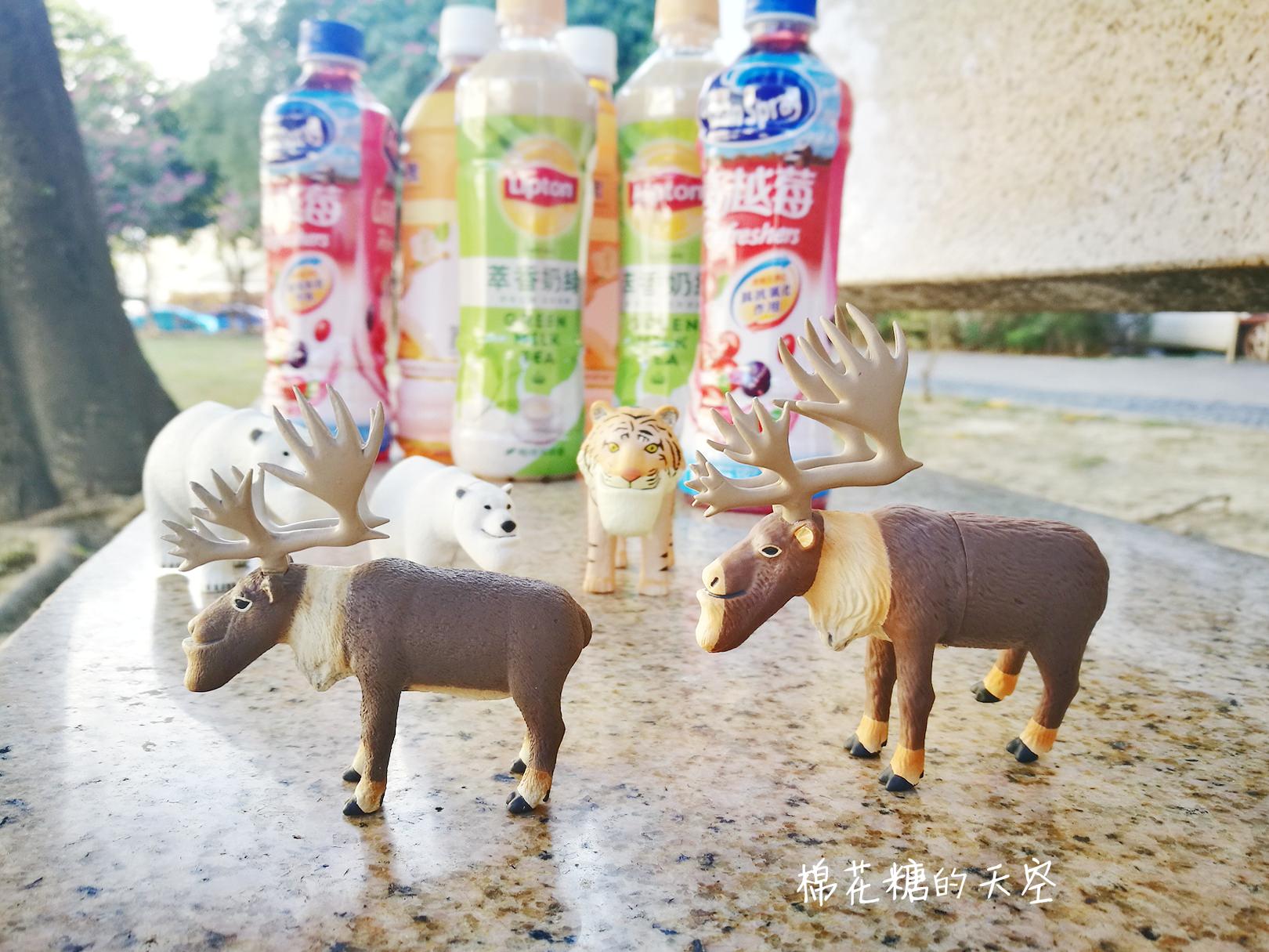 戽斗星球進軍全家啦!用下巴改變世界!買飲料加價購~ 戽斗星球進軍全家啦!用下巴改變世界!買飲料加價購~