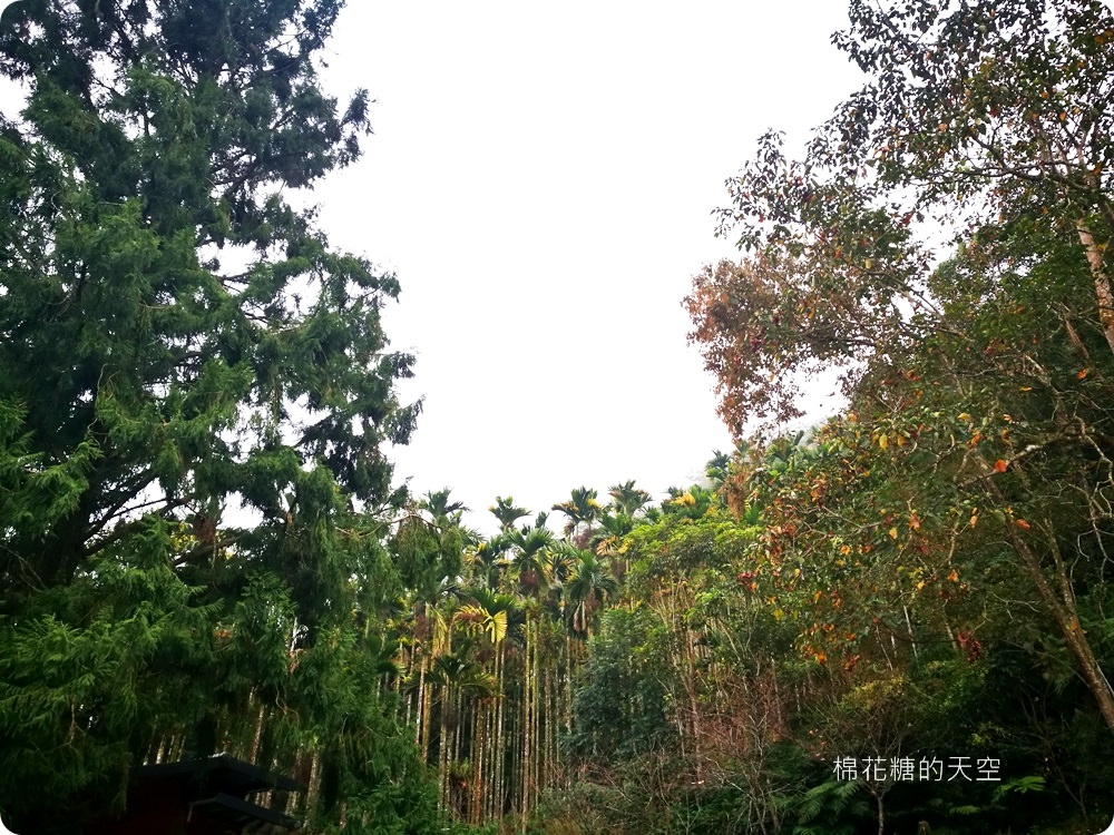 日月潭週邊民宿竟然有國際大廚辦桌!日月桐舞夢幻紫色民宿還有小朋友球池可以玩耍喔! 日月潭週邊民宿竟然有國際大廚辦桌!日月桐舞夢幻紫色民宿還有小朋友球池可以玩耍喔!