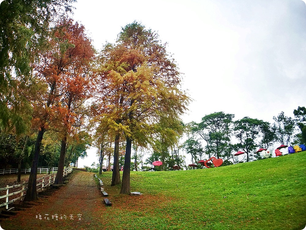 歐式木屋、星光BBQ、可愛綿羊、滿山美景、自助早餐，綠光森林一泊二食包棟方案超優惠！