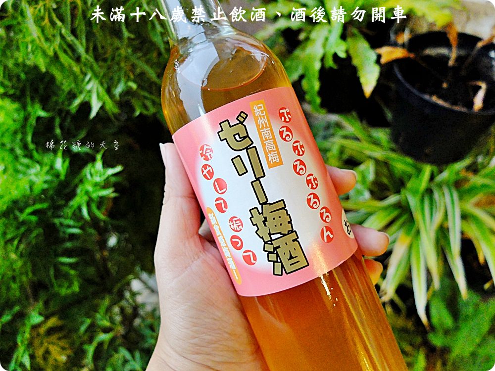 好喝紀州梅酒寶雅就買得到！還有神聖抹茶清酒初登場～加牛奶好好喝阿！