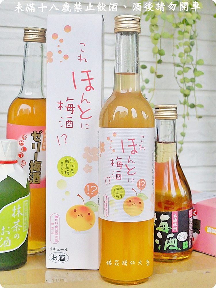 好喝紀州梅酒寶雅就買得到！還有神聖抹茶清酒初登場～加牛奶好好喝阿！
