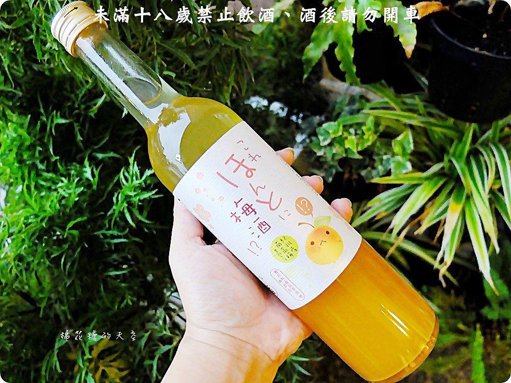 好喝紀州梅酒寶雅就買得到！還有神聖抹茶清酒初登場～加牛奶好好喝阿！