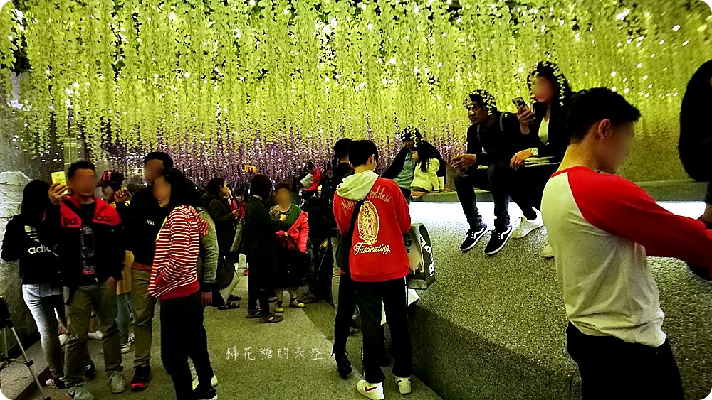 最新綠川水岸全攻略(附地圖)，不只水母漂漂～浪漫落花隧道、放大發光蒲公英都美呀！