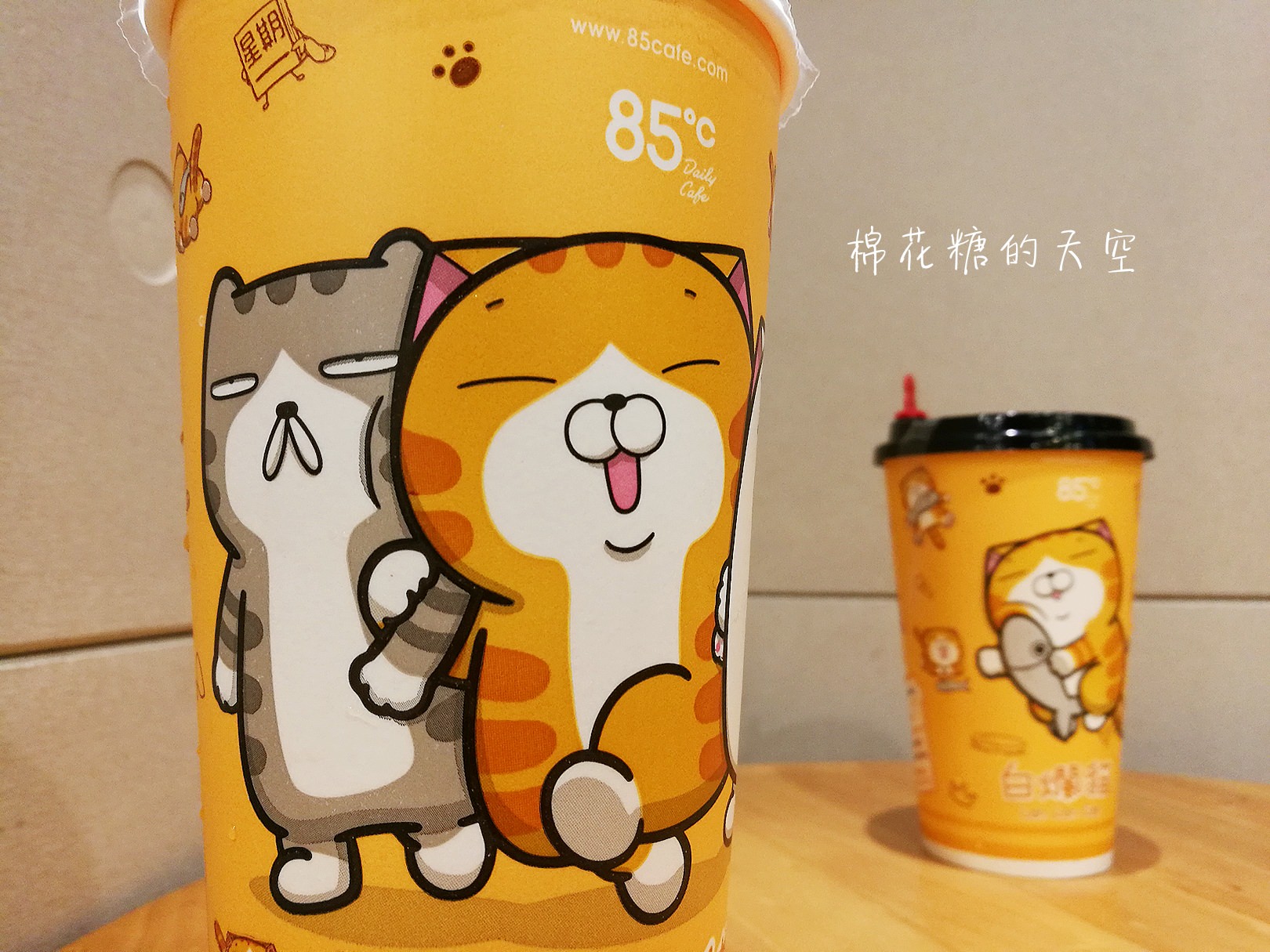 浮誇系母親節蛋糕！同場加映超萌白爛貓插畫杯