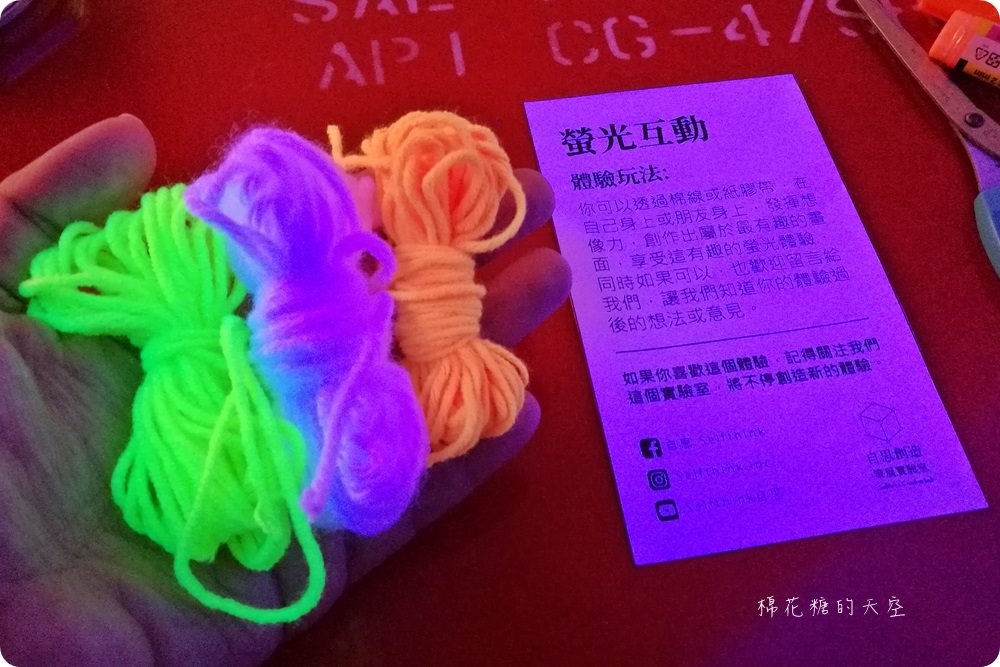誠實君回家啦！阿尼斯特揪你回家玩球球～
