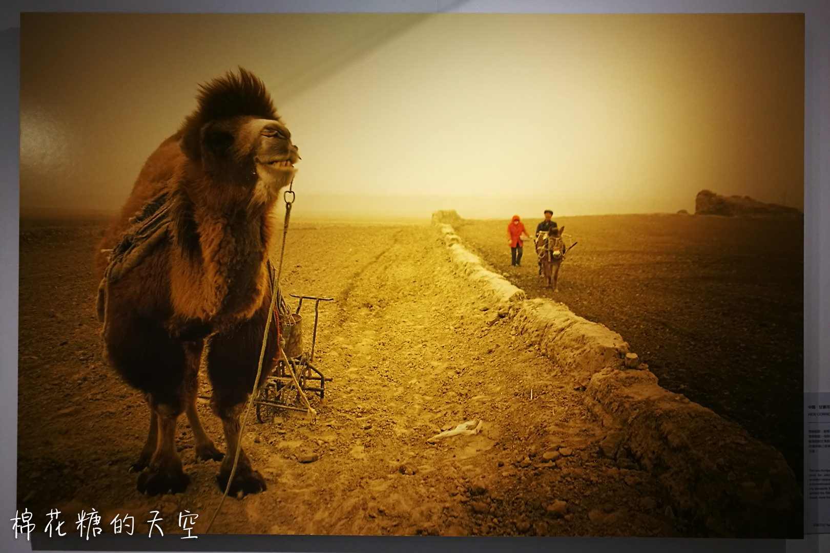 國家地理雜誌攝影展在新光！馬可波羅東遊記重現，看看外國人眼中的媽祖繞境