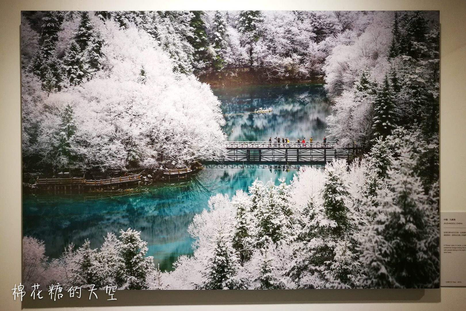 國家地理雜誌攝影展在新光！馬可波羅東遊記重現，看看外國人眼中的媽祖繞境