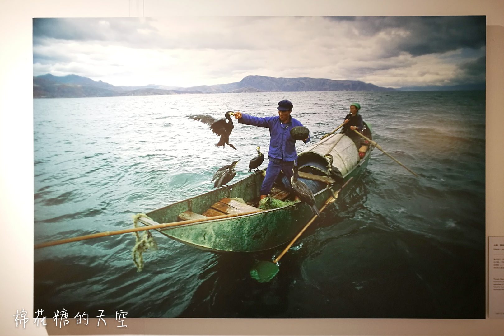 國家地理雜誌攝影展在新光！馬可波羅東遊記重現，看看外國人眼中的媽祖繞境