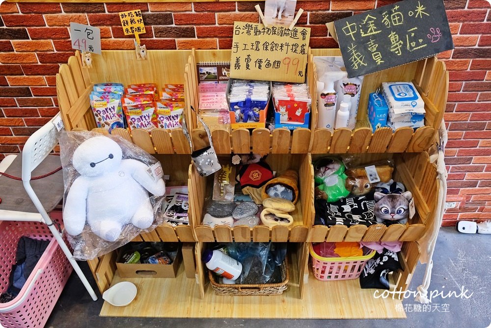 台中寵物友善餐廳推薦|綠園道旁樂樂咪小廚房木碗沙拉超彭湃！貓咪認養區萌翻天啦～