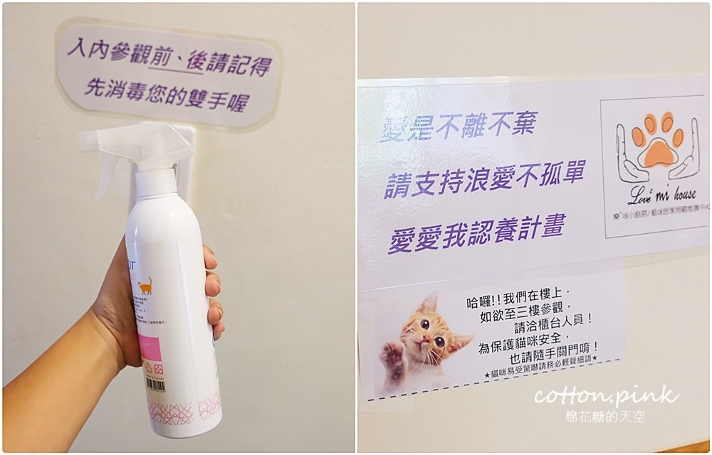 台中寵物友善餐廳推薦|綠園道旁樂樂咪小廚房木碗沙拉超彭湃！貓咪認養區萌翻天啦～