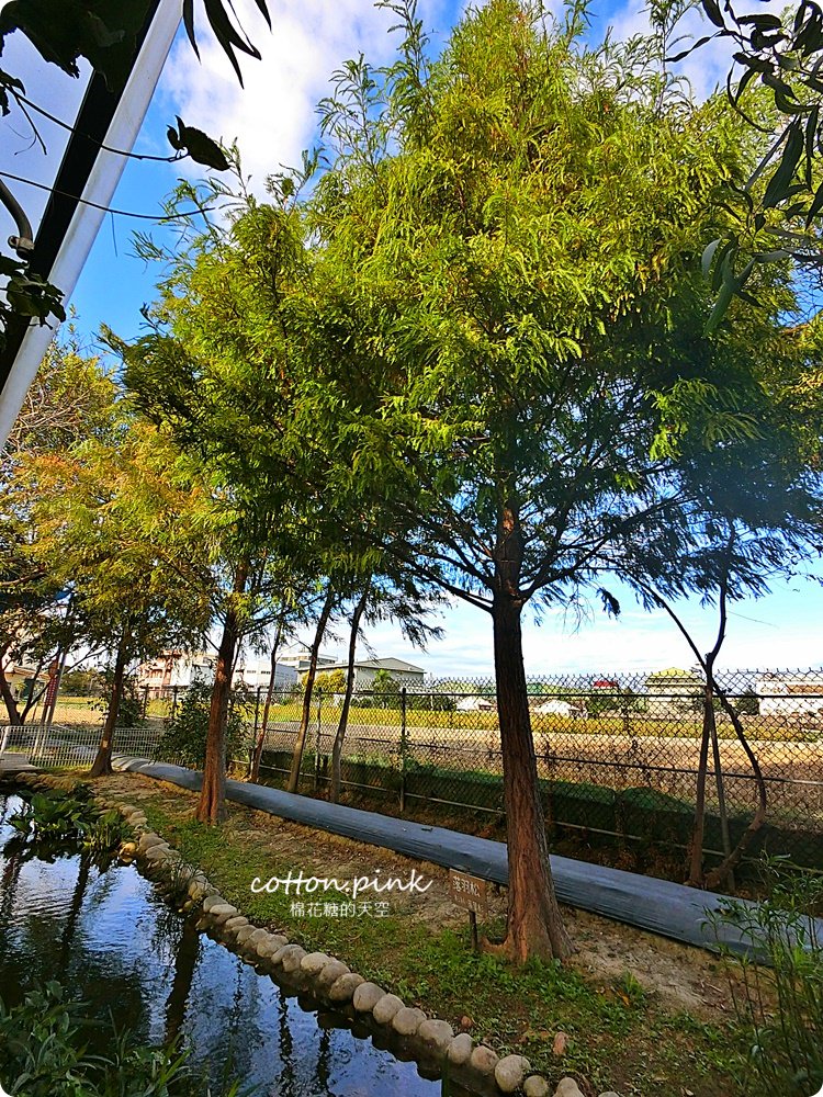 台中市區超大草原景觀餐廳， 大雅赤腳丫夜晚點燈更美麗，五點半後入園不用入場費喔！