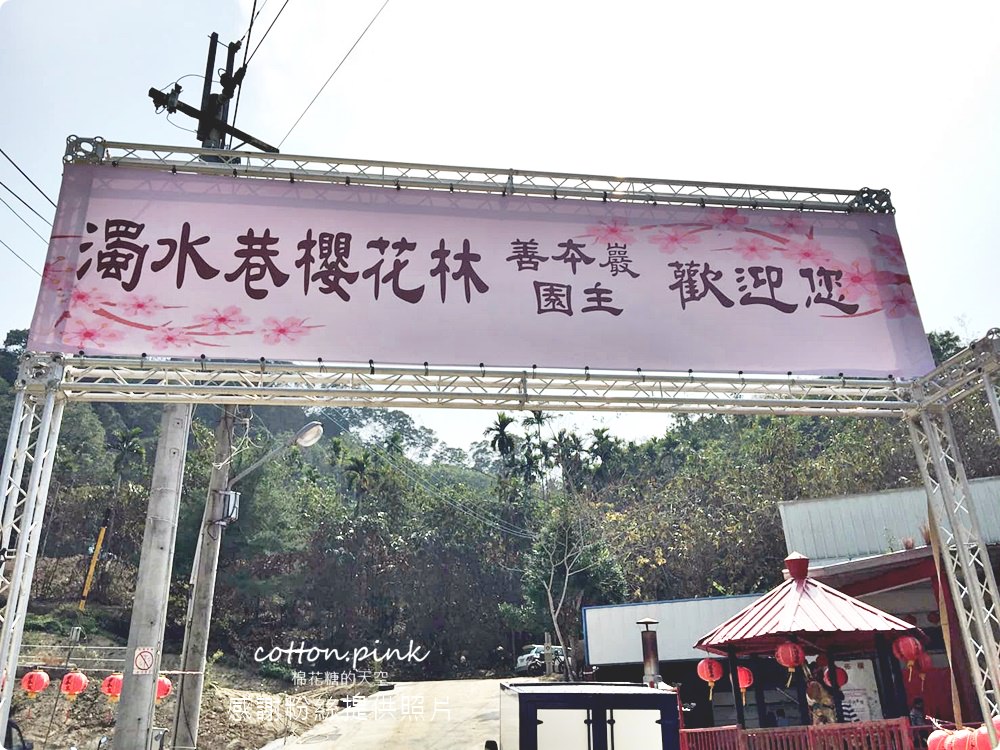 台中賞櫻景點|超夯大坑櫻花秘境濁水巷正式開放！粉紅山谷好迷人！文末有2019最新開放時間
