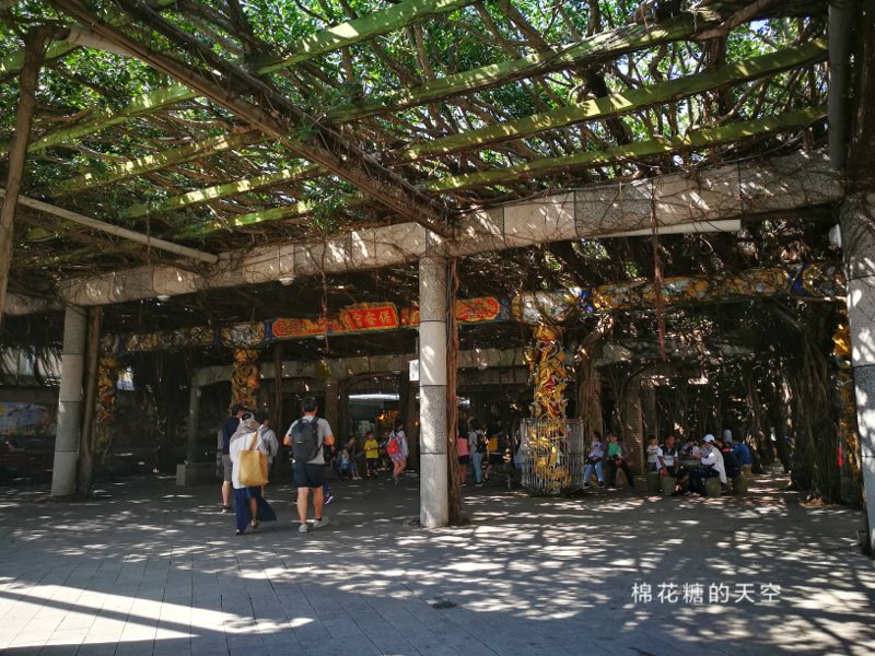 澎湖必吃-跨海大橋旁通樑古榕阿姨仙人掌冰