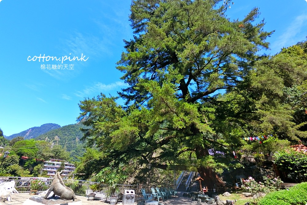 台中谷關旅遊二日行程推薦～美食、景點、還有原住民獵人學校體驗課程，谷關懶人包看這篇！