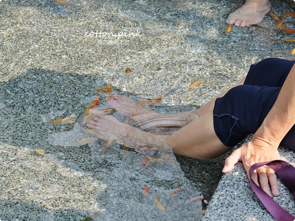 台中谷關旅遊二日行程推薦～美食、景點、還有原住民獵人學校體驗課程，谷關懶人包看這篇！