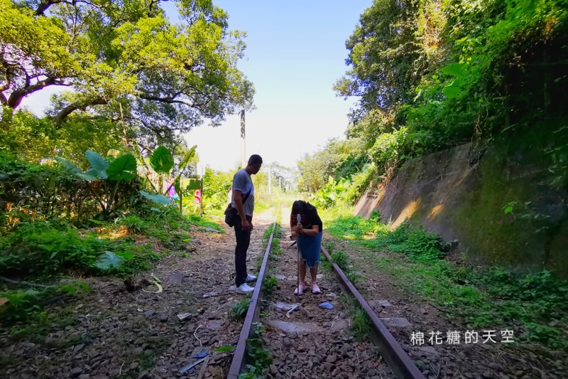 台中后里祕境大公開|八號隧道圳磚橋美得像是宮崎駿卡通場景