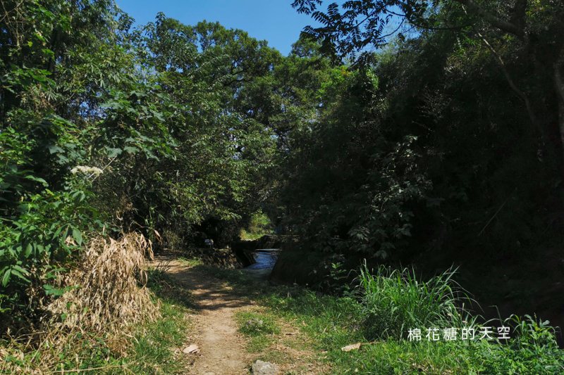 台中后里祕境大公開|八號隧道圳磚橋美得像是宮崎駿卡通場景
