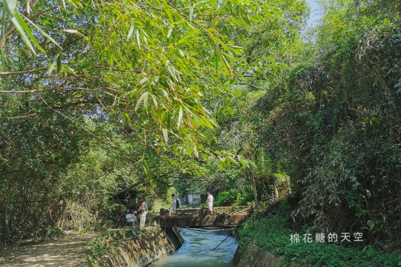 台中后里祕境大公開|八號隧道圳磚橋美得像是宮崎駿卡通場景