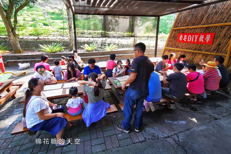 台中東勢林場不只可以賞櫻、看螢火蟲還可以泡溫泉喔！一站滿足三種需求