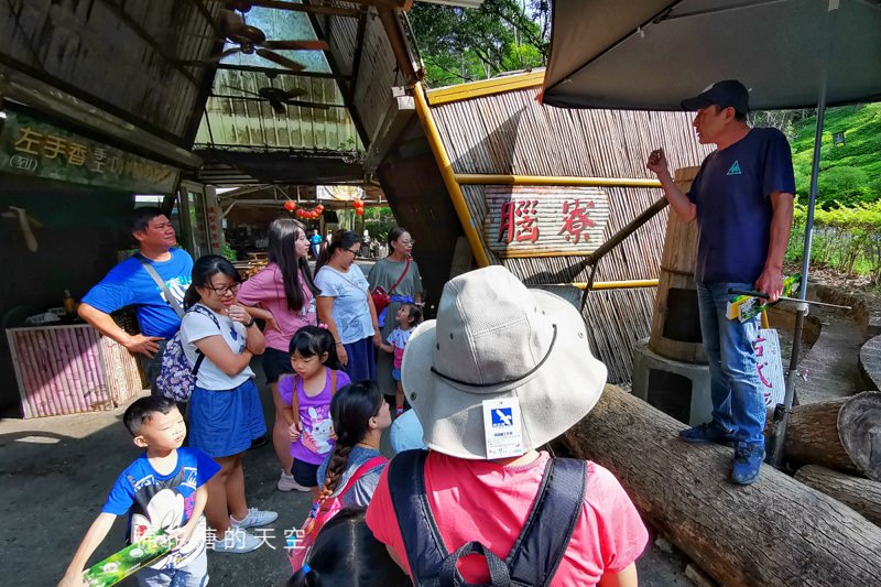 台中東勢林場不只可以賞櫻、看螢火蟲還可以泡溫泉喔！一站滿足三種需求