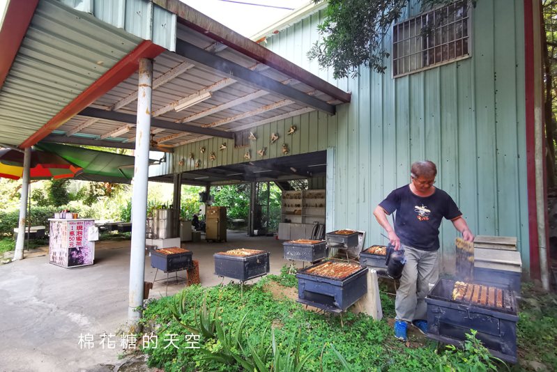 台中東勢林場不只可以賞櫻、看螢火蟲還可以泡溫泉喔！一站滿足三種需求