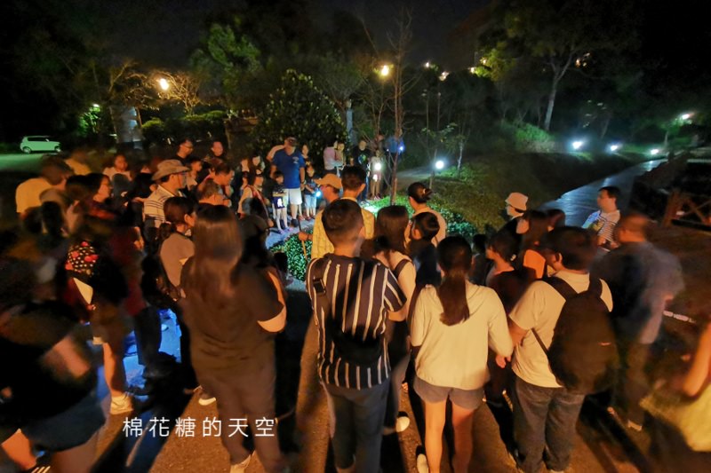 台中東勢林場不只可以賞櫻、看螢火蟲還可以泡溫泉喔！一站滿足三種需求