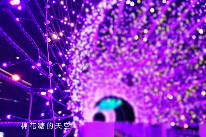 台中燈會番外篇-台中最新IG打卡點，台灣大道路橋變超美