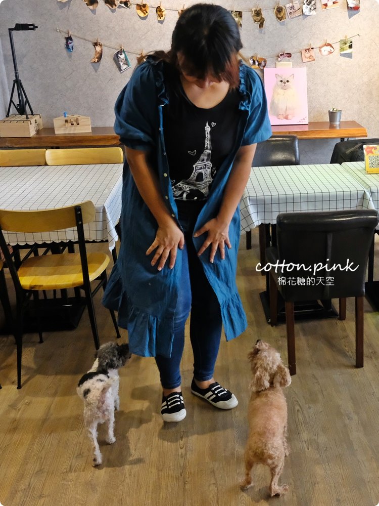 台中寵物友善餐廳推薦～究享cafe套餐附贈小火鍋，大推阿罵教的炸旗魚！