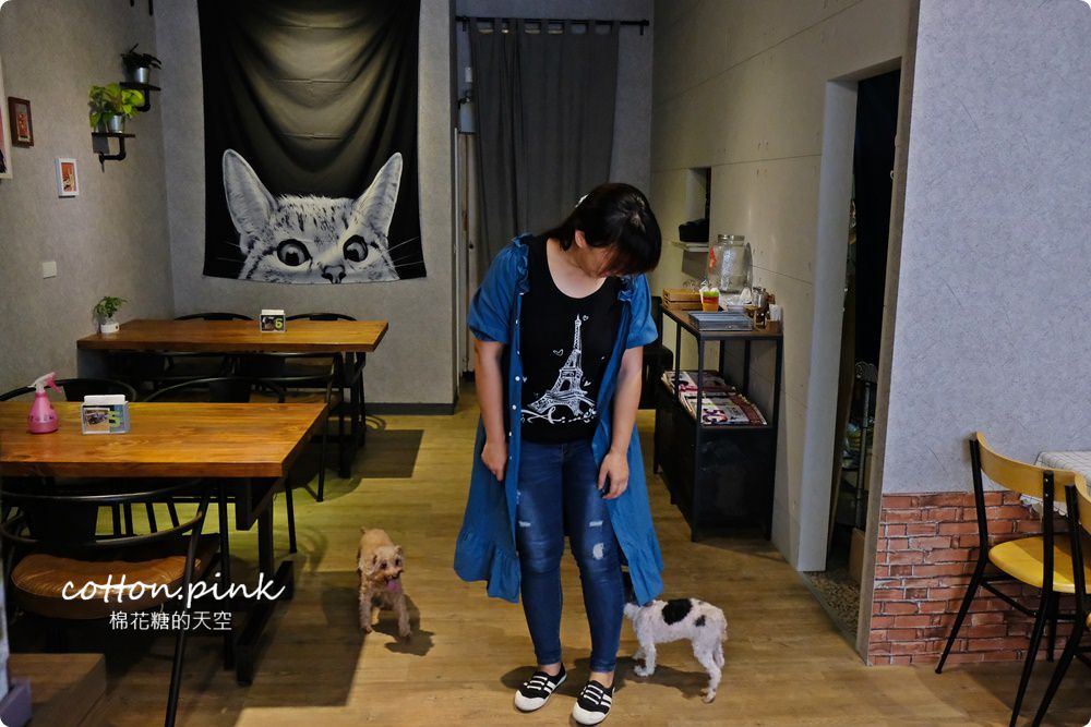 台中寵物友善餐廳推薦～究享cafe套餐附贈小火鍋，大推阿罵教的炸旗魚！