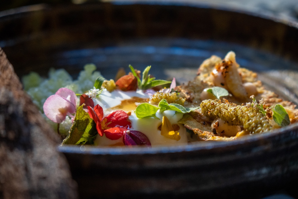 台中最新私廚-Feuille food Lab芾飲食實驗室一年只營業三個月的無菜單料理，完全顛覆料理既定規則重設你對美食的想像