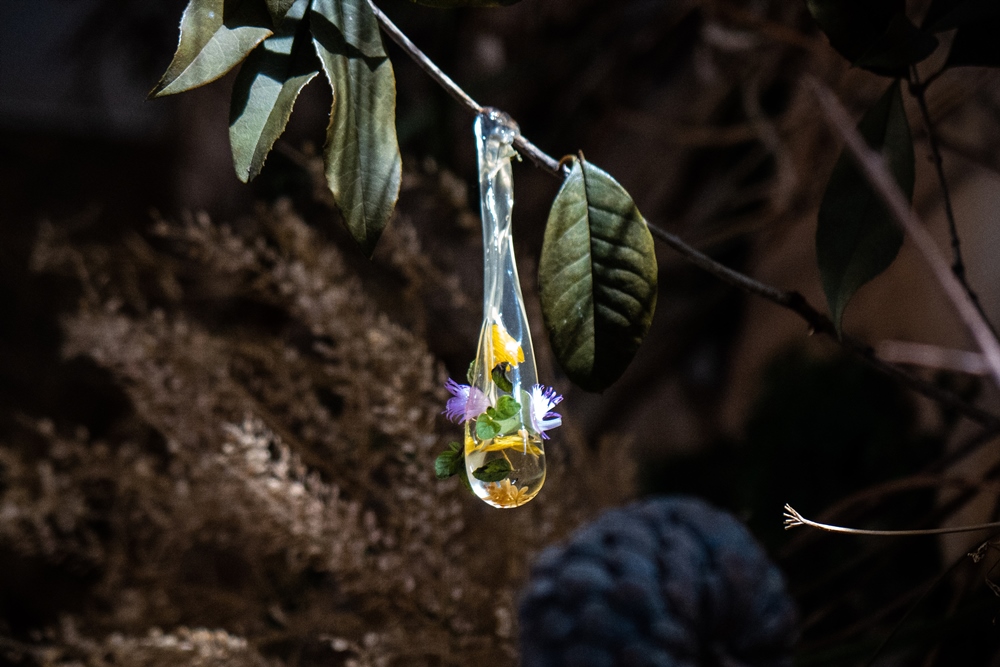 台中最新私廚-Feuille food Lab芾飲食實驗室一年只營業三個月的無菜單料理，完全顛覆料理既定規則重設你對美食的想像