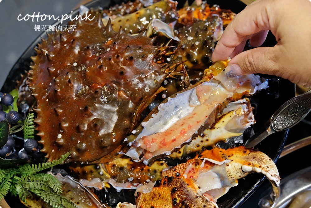 台中梧棲海鮮火鍋新開幕！鮮藝精饌鍋澎湃大餐搭配獨家鍋底好好味～包廂用餐更方便