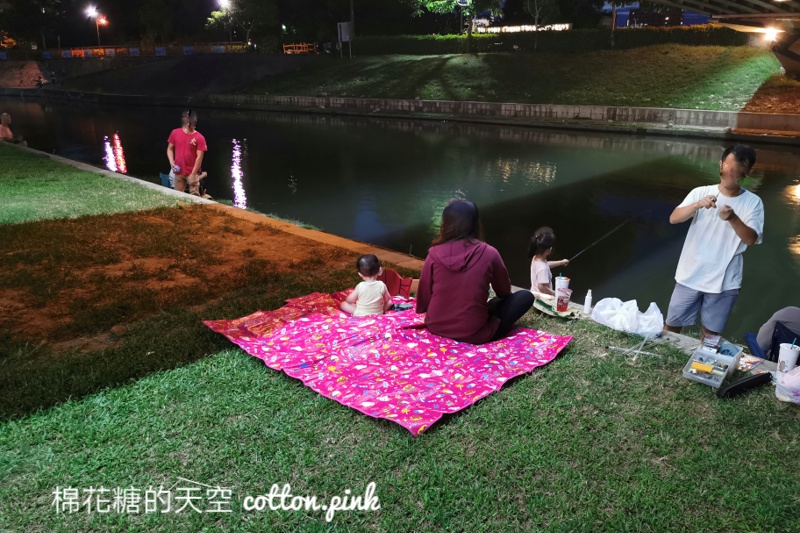 台中大里浪漫景點～興大康橋夜景超美的！