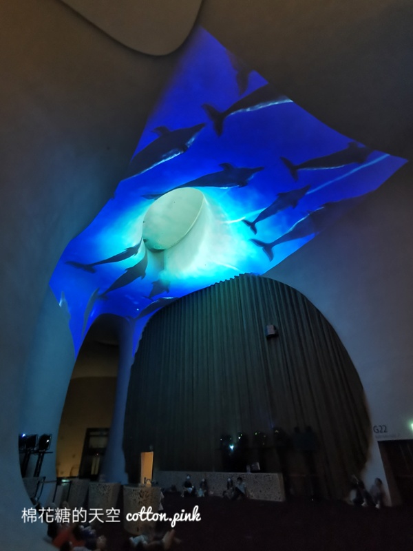 台中也有海洋公園?!台中國家歌劇院最新“光之曲幕”免費進場～看極光免出國！