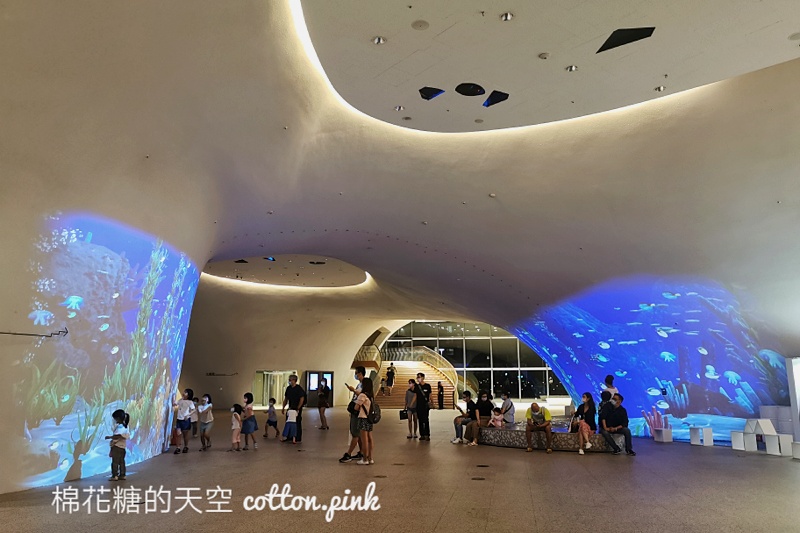 台中也有海洋公園?!台中國家歌劇院最新“光之曲幕”免費進場～看極光免出國！